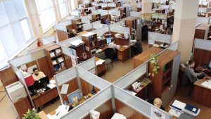 Overview photo of employees working in cubicles at an office